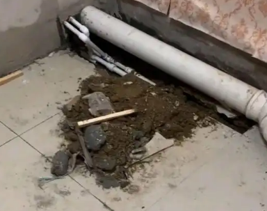 梁河卫生间漏水检测哪家好